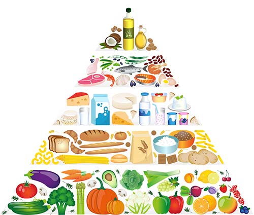 Pyramide alimentaire